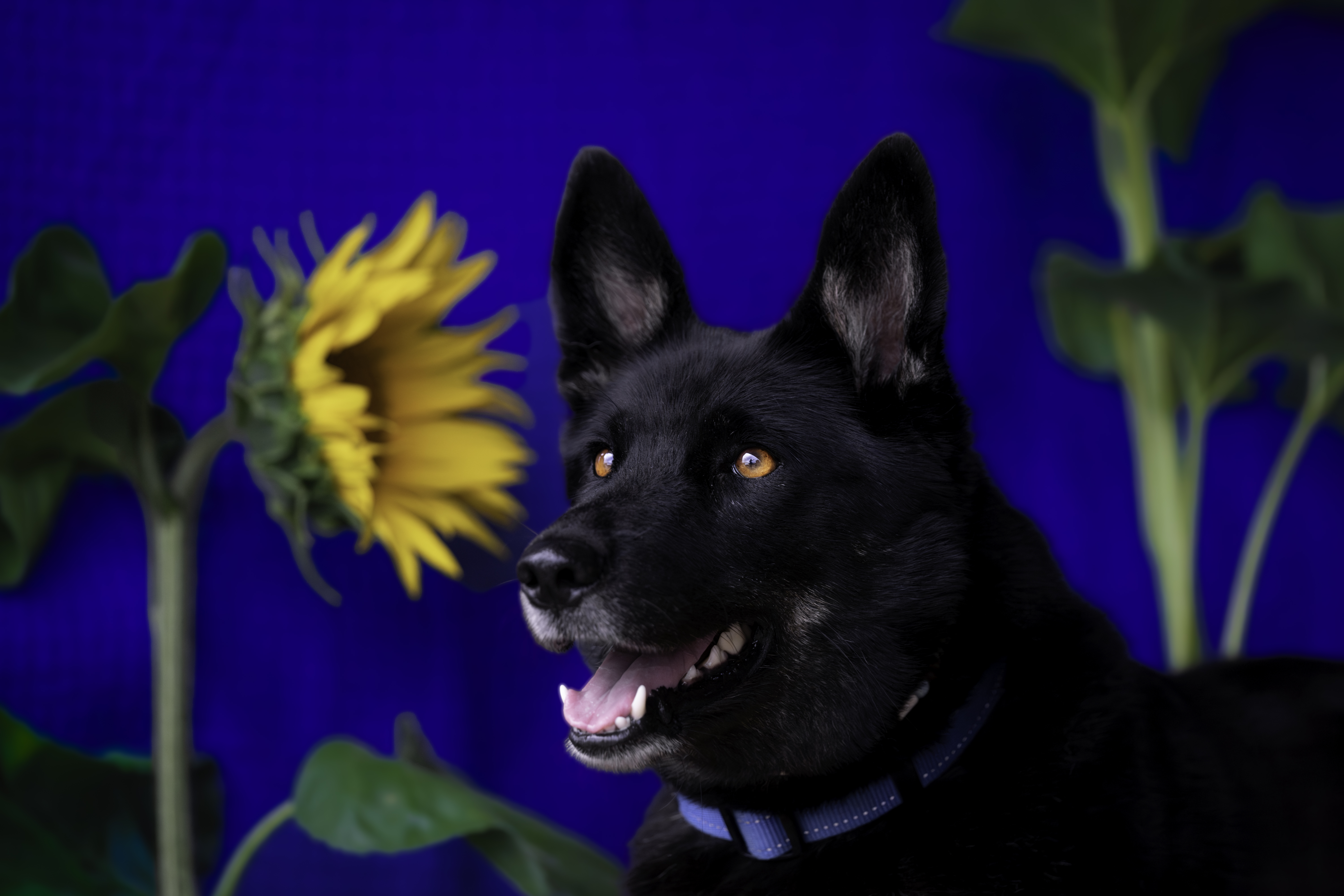 Start page image for sales-partner's sales-channel